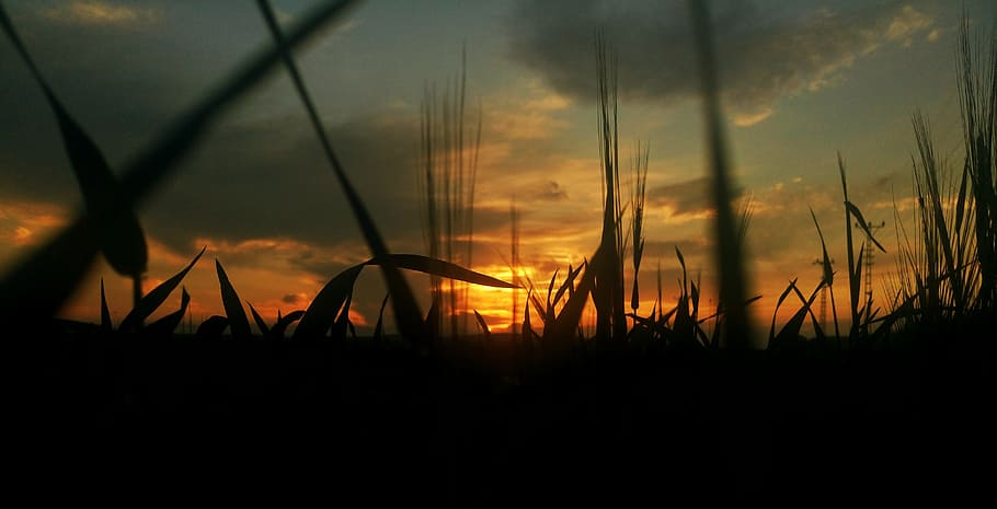 sunset, solar, nature, clouds, peace, turkey, light, ghosh HD wallpaper