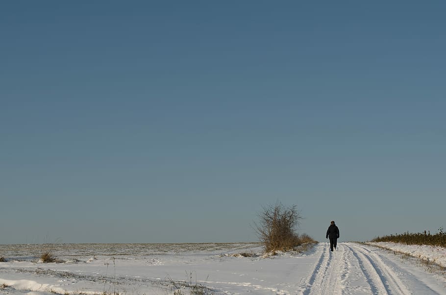 Wintry, Winter, Landscape, Snow, Snowy, nature, blue, cold HD wallpaper