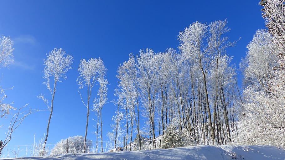 landscape, winter, winter landscape, trees, cold, sky, mountain HD wallpaper