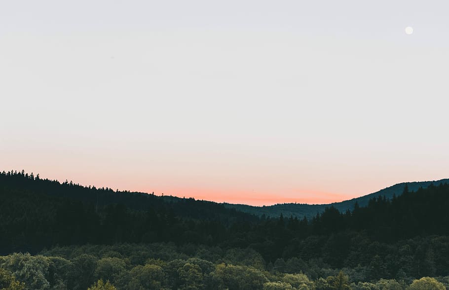 silhouette photograph of green bushes under grayish sky, forest and mountains during day HD wallpaper