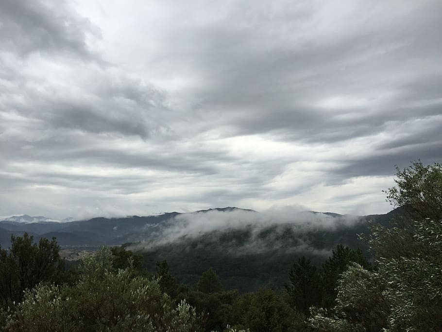 clouds, mountain top, forest, tree, cloud - sky, plant, beauty in nature HD wallpaper
