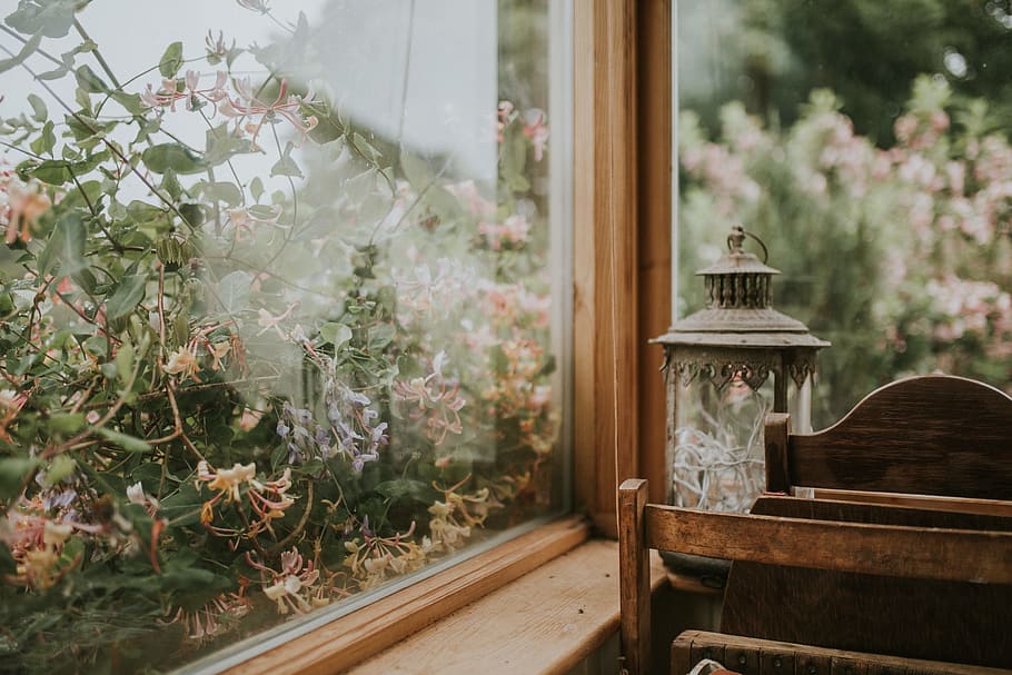 brown wooden frame, black lantern beside plants, window, flower, HD wallpaper