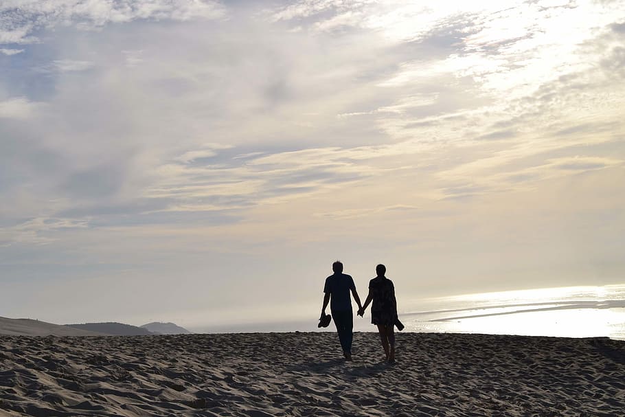 silhouette of couple holding hands while walking on seashore HD wallpaper