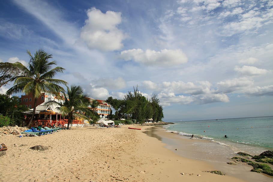 Barbados, Beach, Sun, palm tree, sand, sea, sky, cloud - sky HD wallpaper