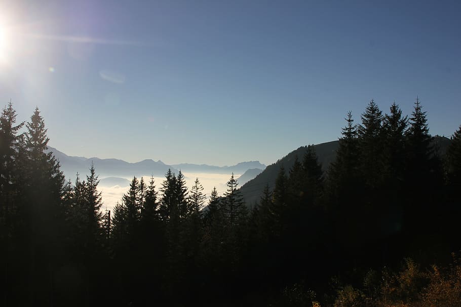 mountains, sun, rest, clouds, fog, switzerland, yberegg, nature HD wallpaper