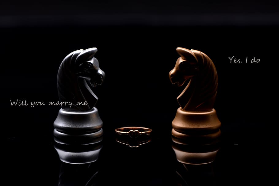 black and brown horse chess pieces, love, story, black background, HD wallpaper