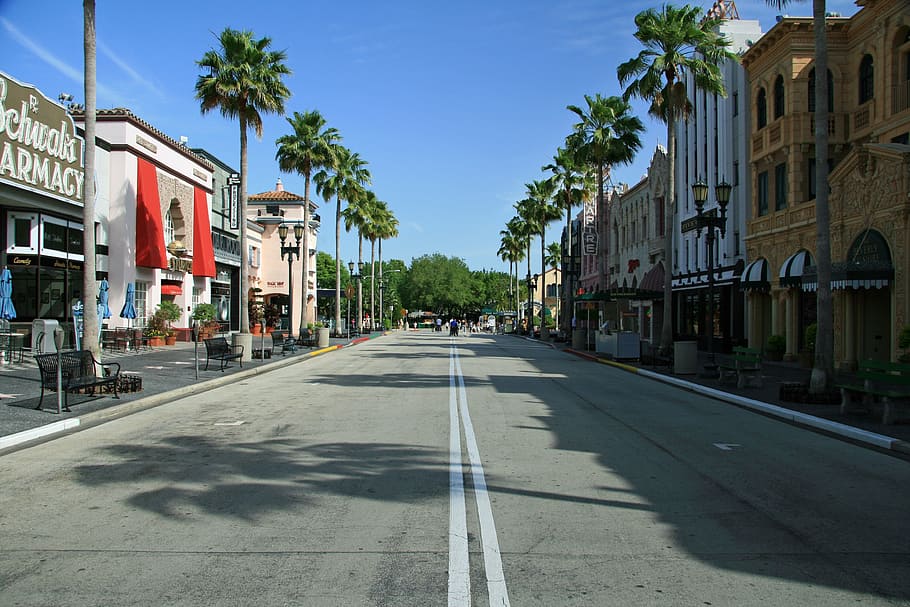 town with houses and trees, florida, universal studios, architecture HD wallpaper