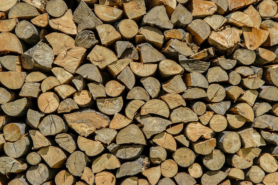 pile of firewood logs, stacked, the background, tree, textures HD wallpaper
