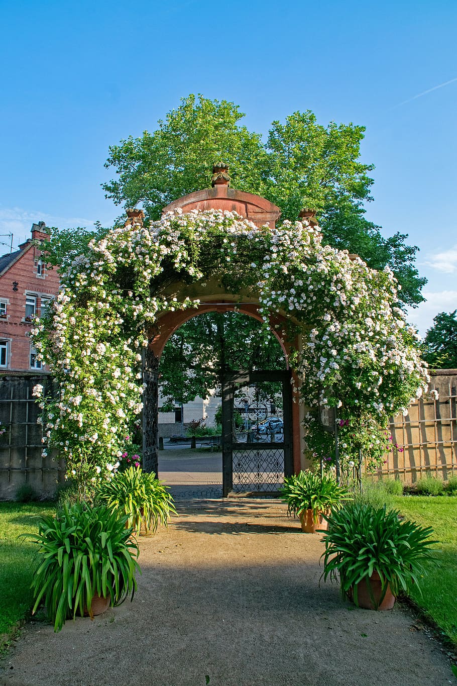 prince georgs-garden, darmstadt, hesse, germany, roses, rose arch