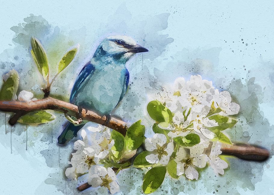 bluebird painting, feathered, mood, close, nature, tree, cherry blossom HD wallpaper