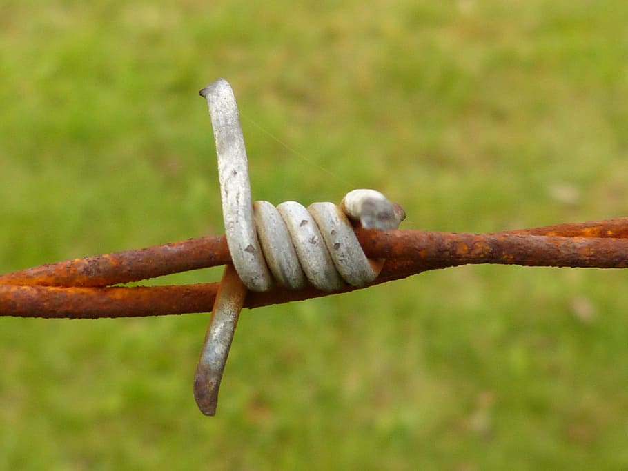 Barbed Wire, Thorn, Wiring, rusty, metal, risk, caution, fence HD wallpaper
