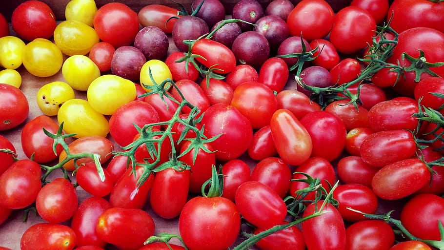 bunch of red, yellow, and purple cherry tomatoes 1, vegetables HD wallpaper