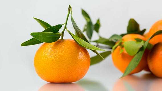 close up photo of orange fruit, mandarin, clementine, vitamins HD wallpaper