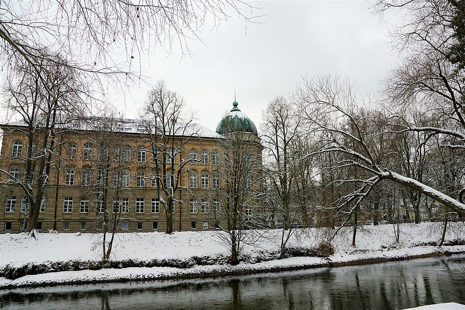 winter, snow, tree, cold, architecture, nature, river, frost HD wallpaper