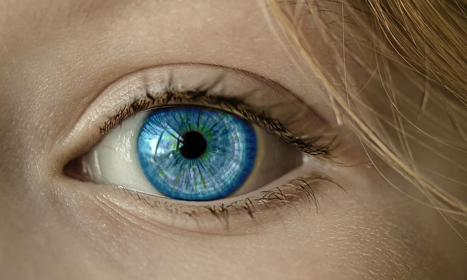 human eye, blue eye, iris, pupil, face, close, lid, eyelashes, HD wallpaper
