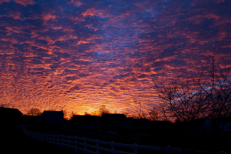 Sunset, Orange, Sky, Dusk, Horizon, cloud, evening, twilight HD wallpaper