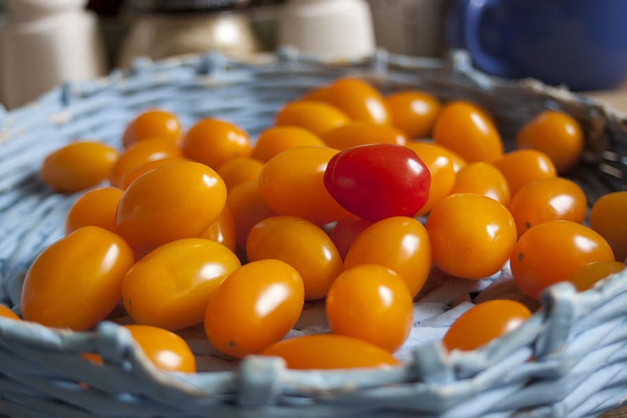 fruit, vegetable, mini-tomatoes, small tomatoes, red, yellow HD wallpaper
