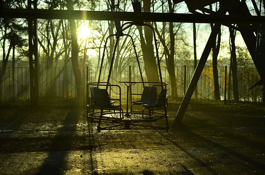 swing, dawn, sun, nature, morning, sunlight, tree, plant, day HD wallpaper