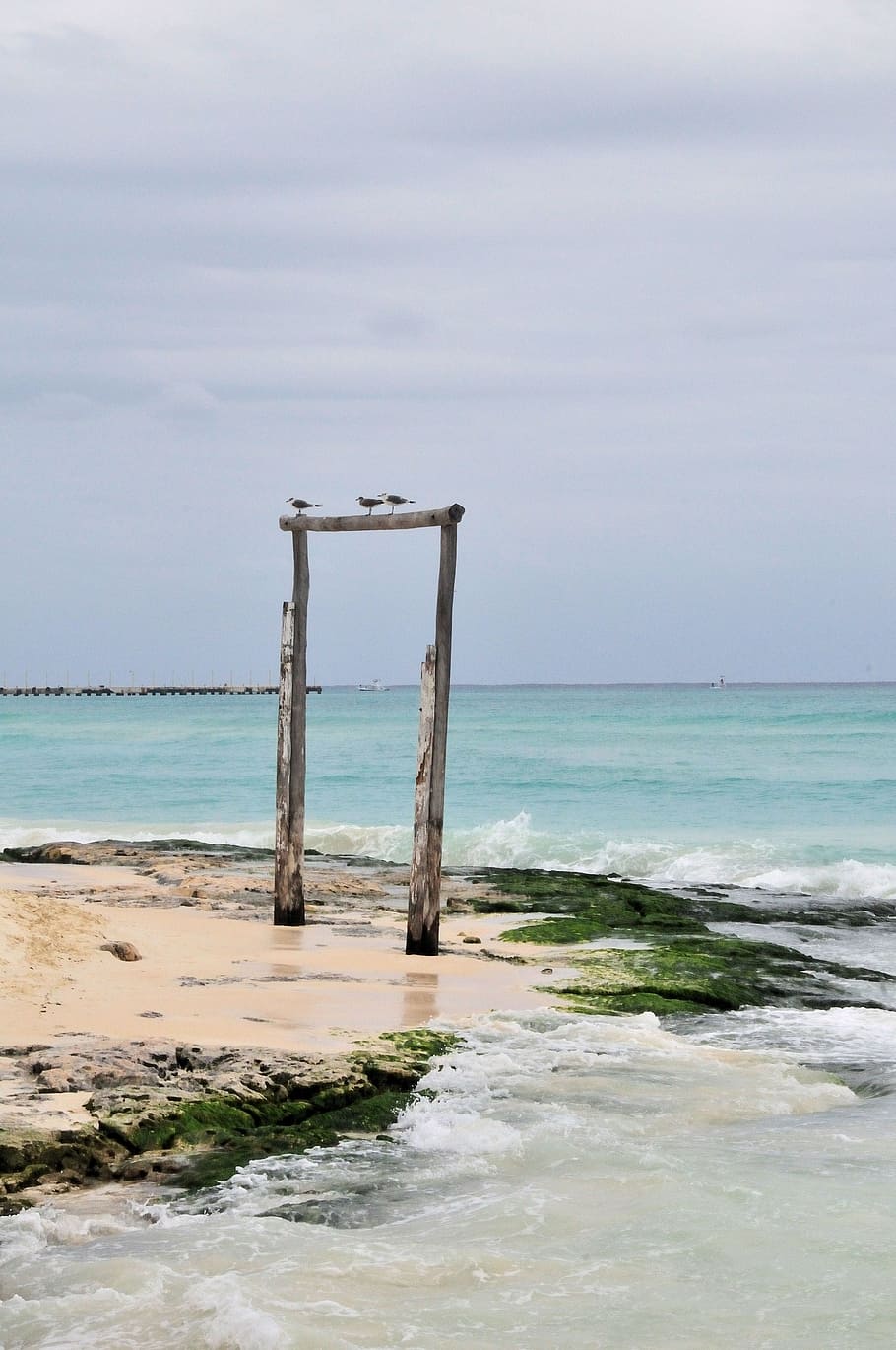 Ocean, Shore, Beach, Water, summer, coast, tropical, scenic HD wallpaper