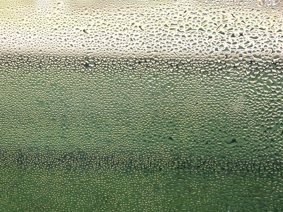 window, rain, raindrop, drip, wet, glass, beaded, water, drop of water HD wallpaper