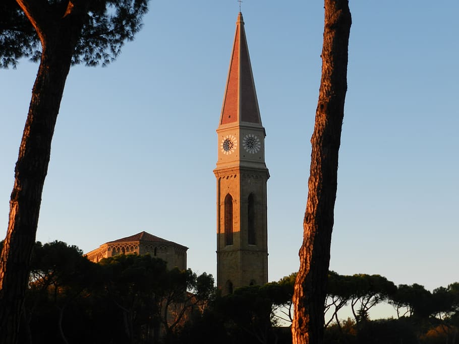 campanile, arezzo, duomo, tree, built structure, architecture