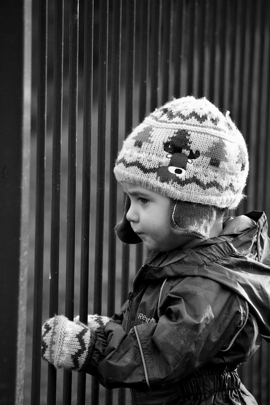 Boy, Child, Winter, Fence, Prisoner, wander, explore, learn