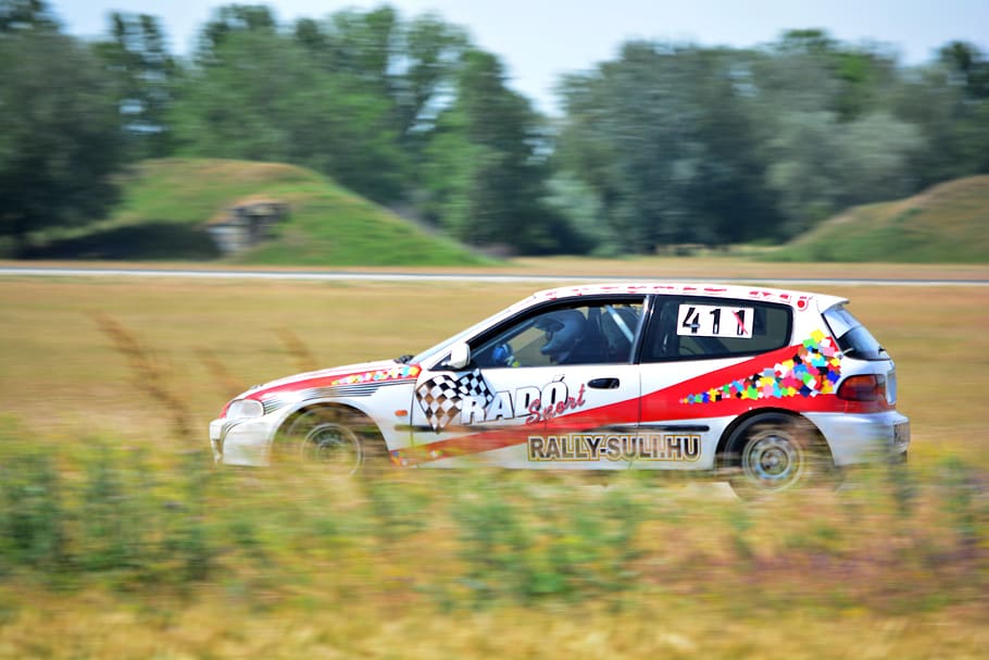 car, racing, rally, mode of transportation, plant, tree, day HD wallpaper