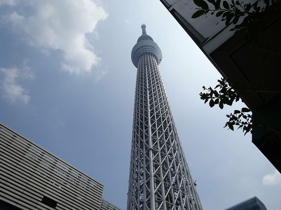 tower, tokyo, high, building, city, sky, architecture, built structure HD wallpaper
