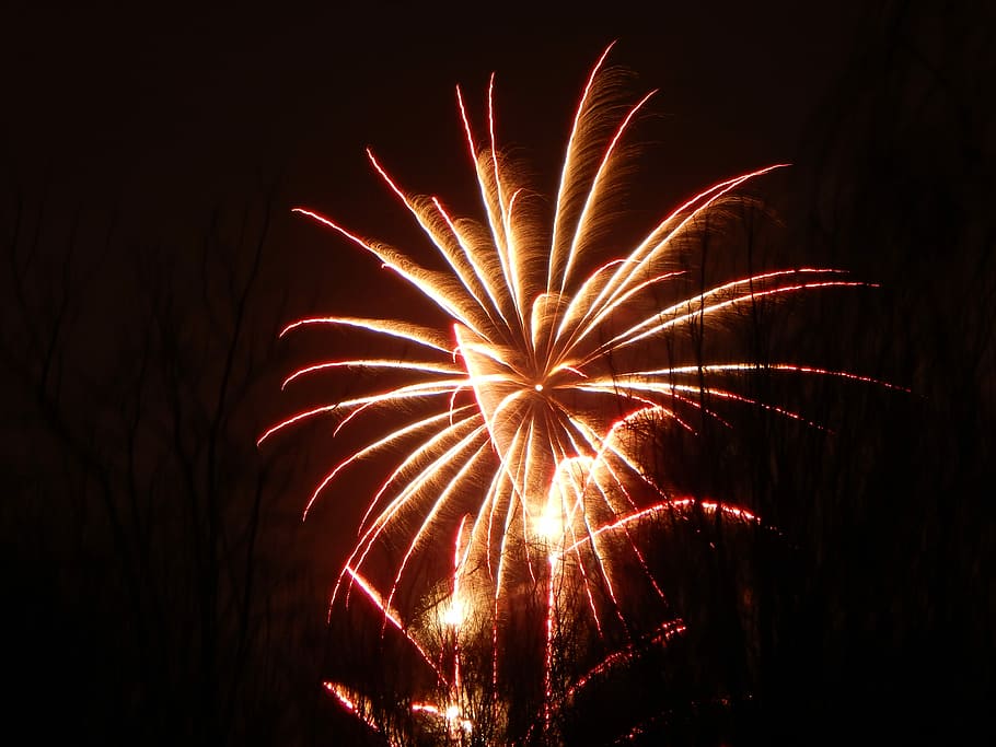 fireworks display, fireworks on sky, night, dark, orange, illuminated HD wallpaper
