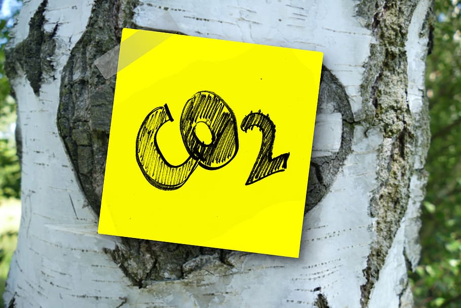 co2, carbon dioxide, oxygen, atmosphere, board, font, tree, HD wallpaper