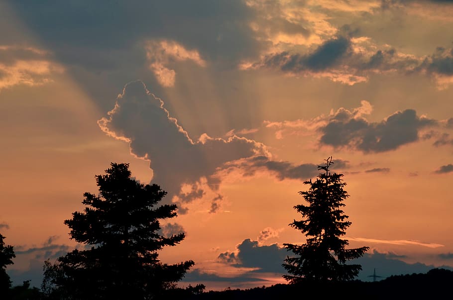 sunset, dusk, sky, abendstimmung, clouds, trees, evening sky HD wallpaper
