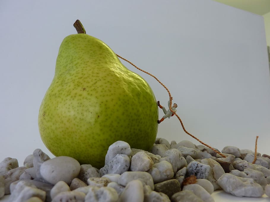 Pear, Dream, Fantasy, funny, relaxed, food and drink, healthy eating HD wallpaper