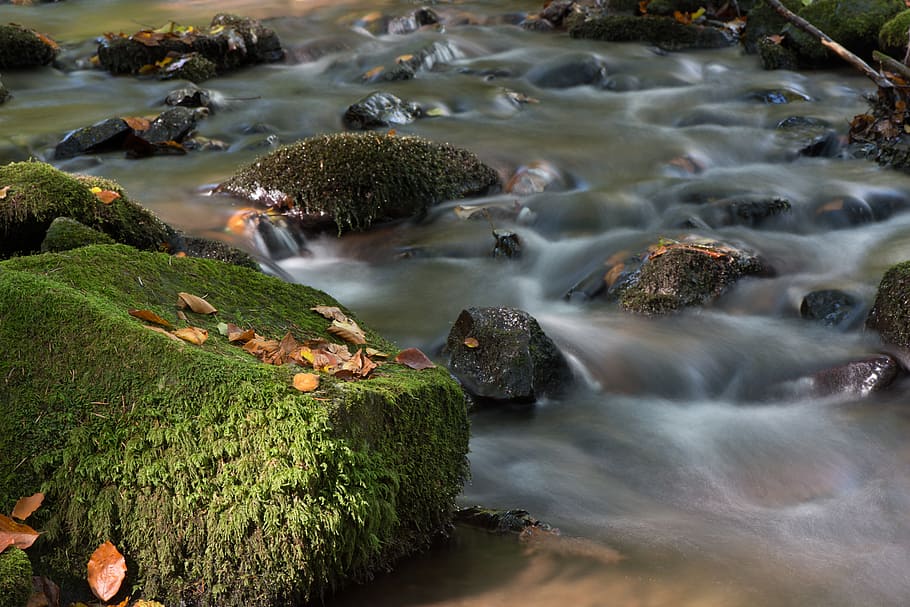 nature, water, river, moss, stream, fluency, softness, long exposure HD wallpaper