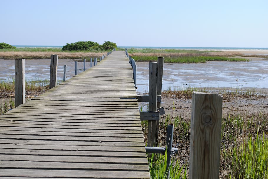 bridge, a jetty, sea, water, wood - material, sky, nature, tranquil scene HD wallpaper