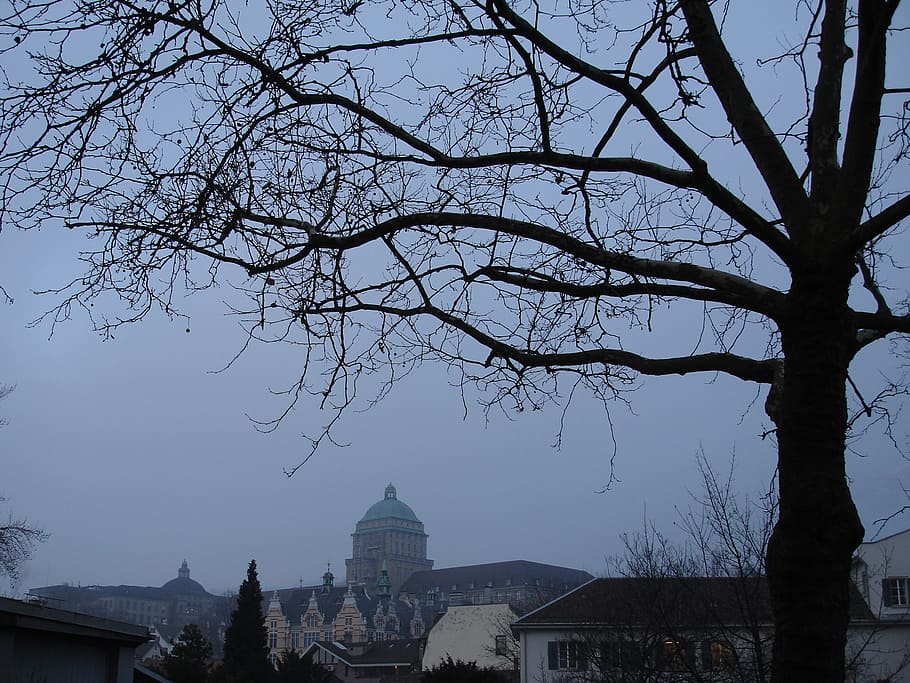 zurich, winter, evening, blue, atmosphere, switzerland, capital HD wallpaper