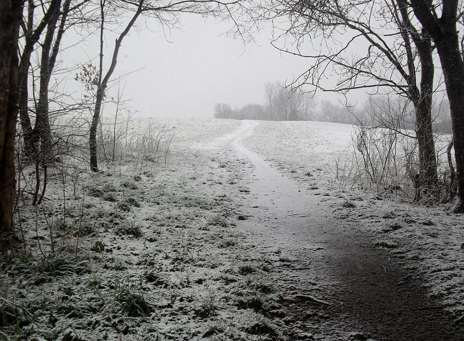 winter, snow, cold, christmas, season, nature, xmas, white HD wallpaper