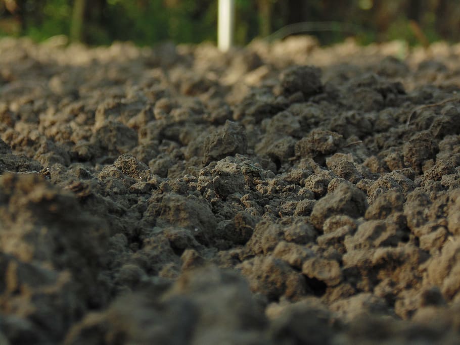 ground, brown, earth rocks, selective focus, no people, dirt HD wallpaper