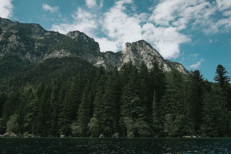 blue, sky, clouds, trees, plant, nature, forest, lake, water HD wallpaper