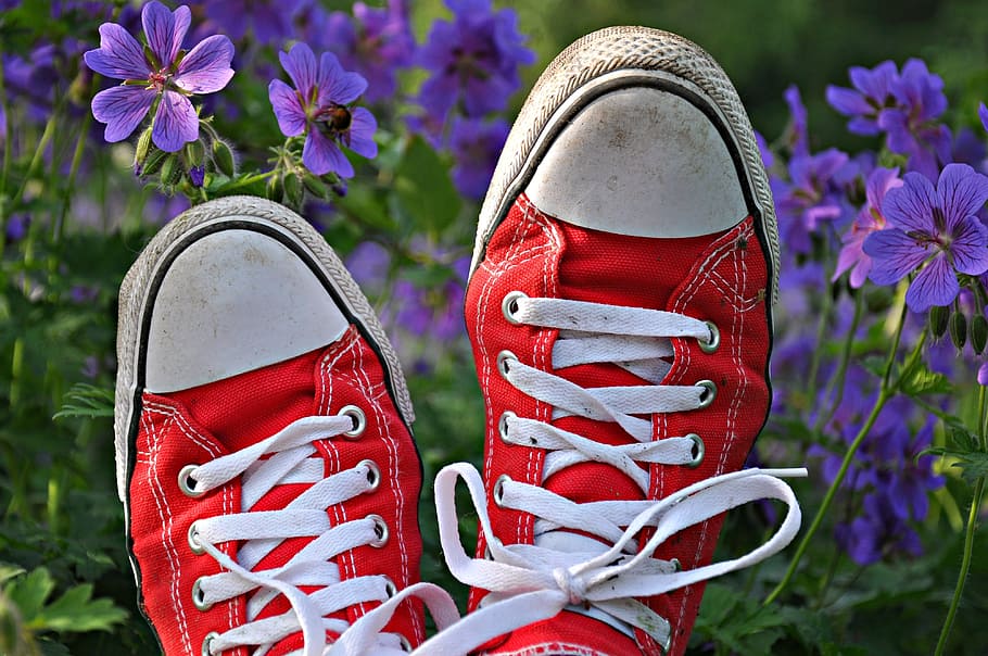 pair of red Converse low-top sneakers near purple petaled flower