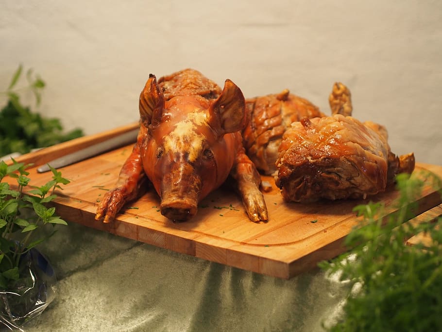 piglet, roasted, buffer, company, celebration, party food, meal HD wallpaper