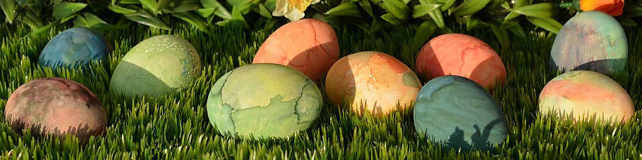 photo of assorted-color eggs, easter eggs, decoration, easter decoration HD wallpaper
