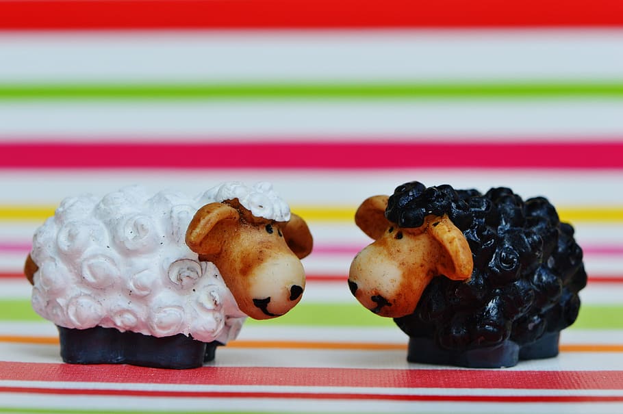 Black Sheep, Cute, funny, food and drink, sweet food, no people HD wallpaper