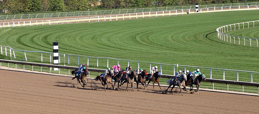 HD wallpaper: herd of horsemen on field, animal, racing, race, color, competition - Wallpaper Flare