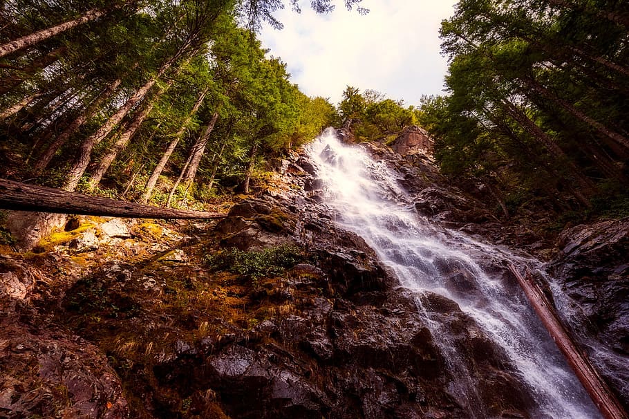 waterfall, cascade, forest, trees, woods, rock, stream, nature HD wallpaper