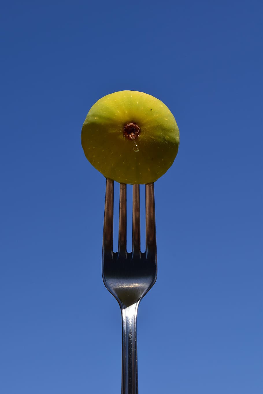 fig, fork, eat, close, metal fork, cutlery, green, blue, healthy eating HD wallpaper