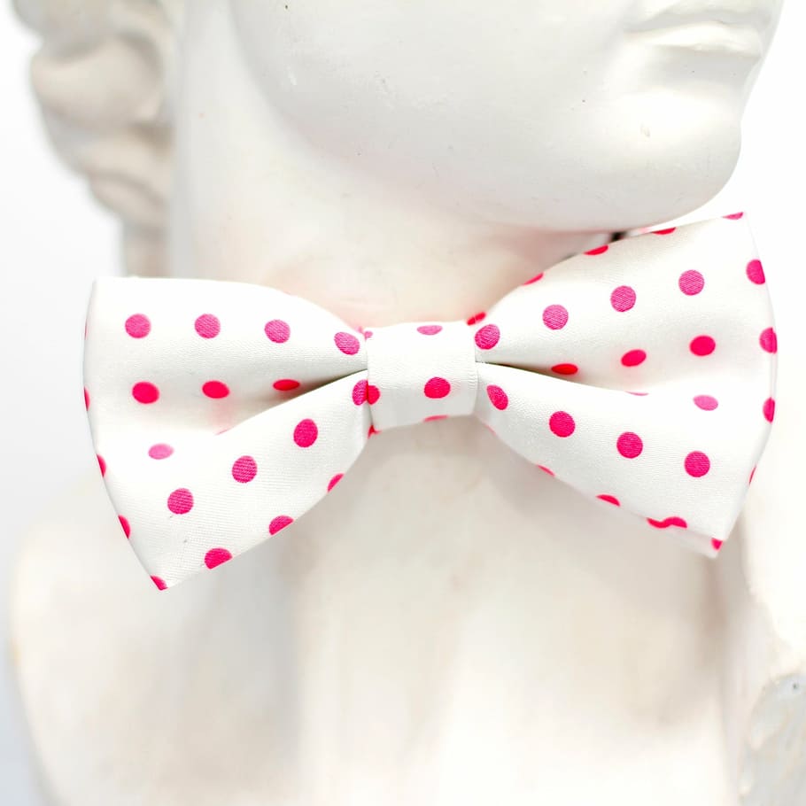 pink, white, points, fly, tie, loop, fashion, man, profile HD wallpaper