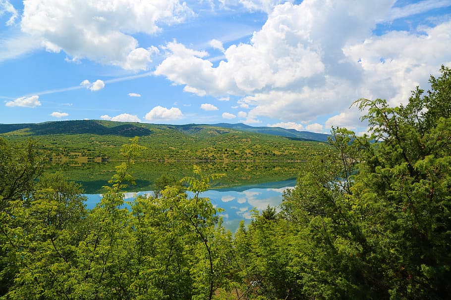 green leafed trees beside calm body of water under white and blue cloudy sky at daytime HD wallpaper