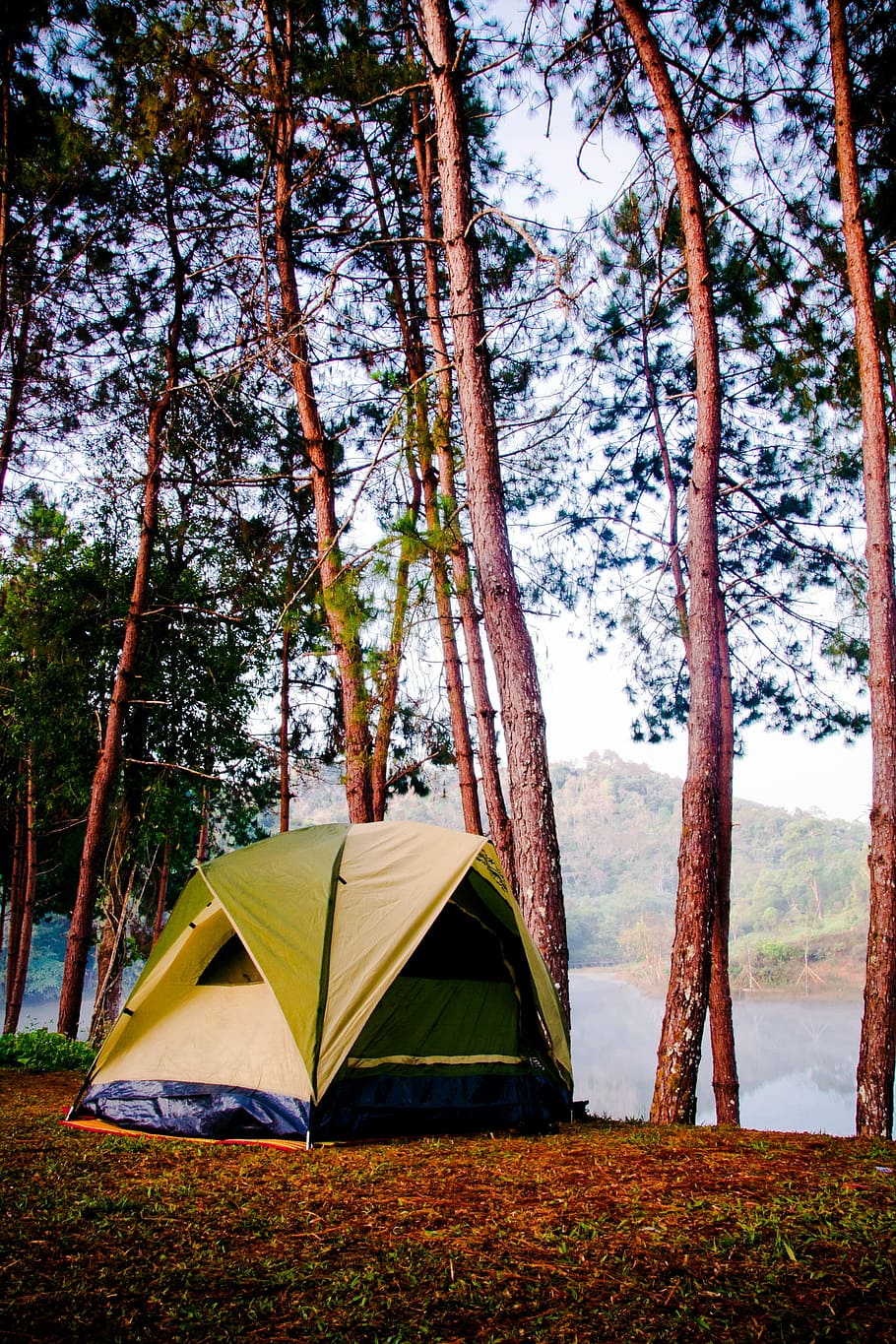 yellow and blue tent on forest, camp, nature, camping, adventure HD wallpaper