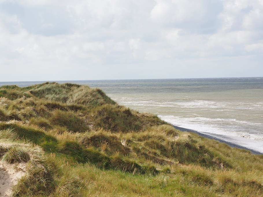 sylt, dunes, dune landscape, marram grass, sea, water, eco system, HD wallpaper