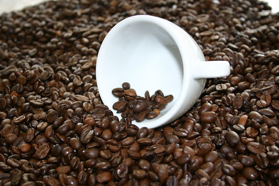 coffee, beans, coffee beans, cup, cafe, roasted, green coffee HD wallpaper